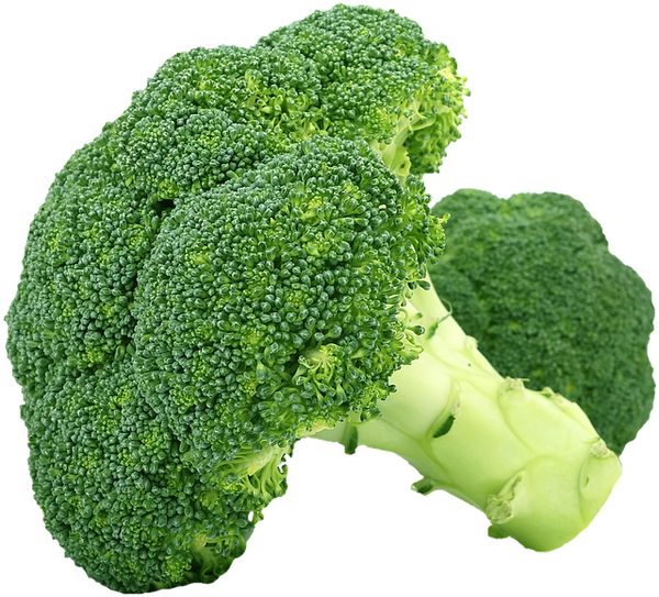 seasonal produce broccoli