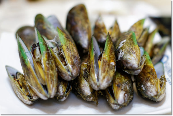 farmed shellfish