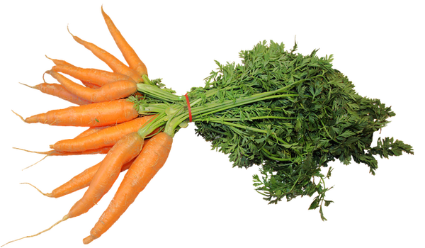 seasonal produce carrots