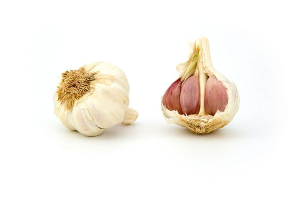 seasonal produce garlic