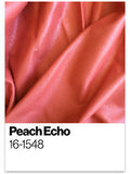 East Coast Leather Peach Echo Pantone Spring 2016