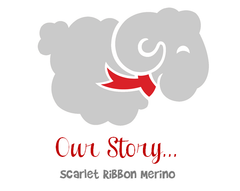 Scarlet Ribbon Our story