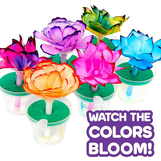 Wicking Paper Flower Science Kit