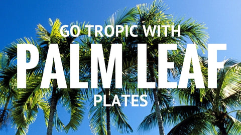 Go Tropic With Palm Leaf Plates