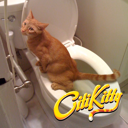 CitiKitty Cat Toilet Training Kit CitiKitty Inc.