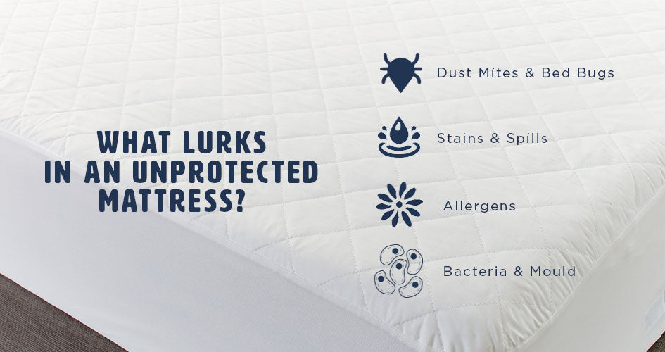 Unprotected Mattresses contain Bacteria & Mould, Allergens, Stains & Spills, Dust Mites & Bed Bugs