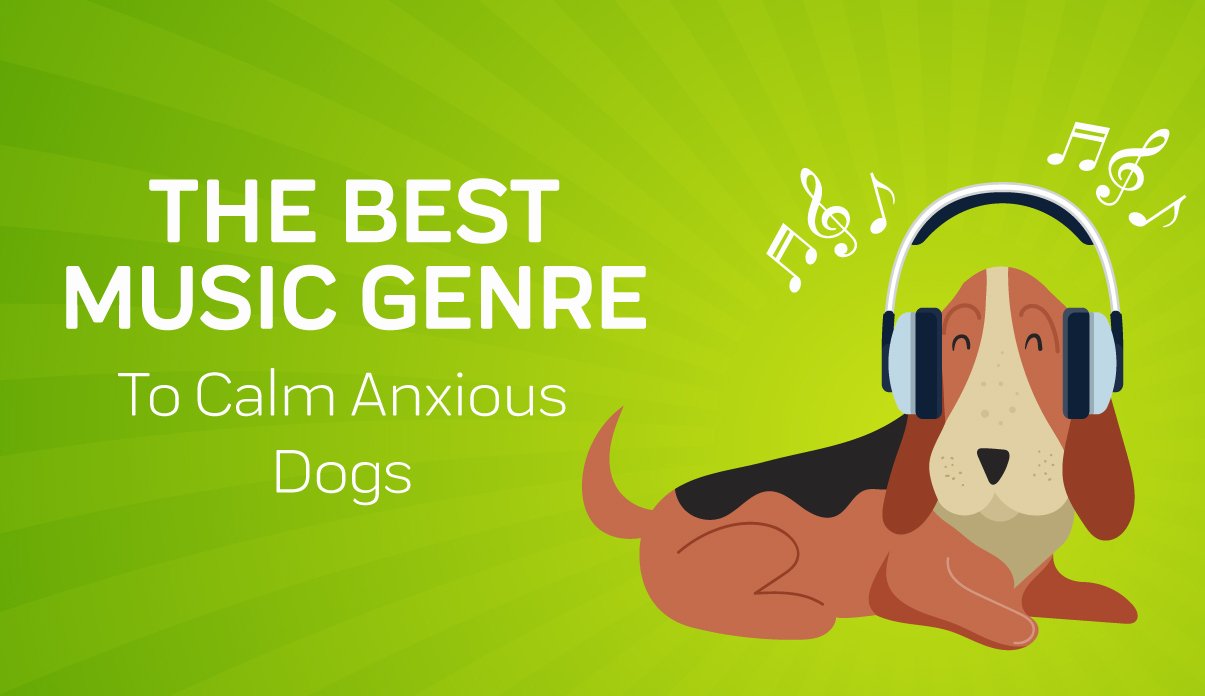 music for dogs to calm them down