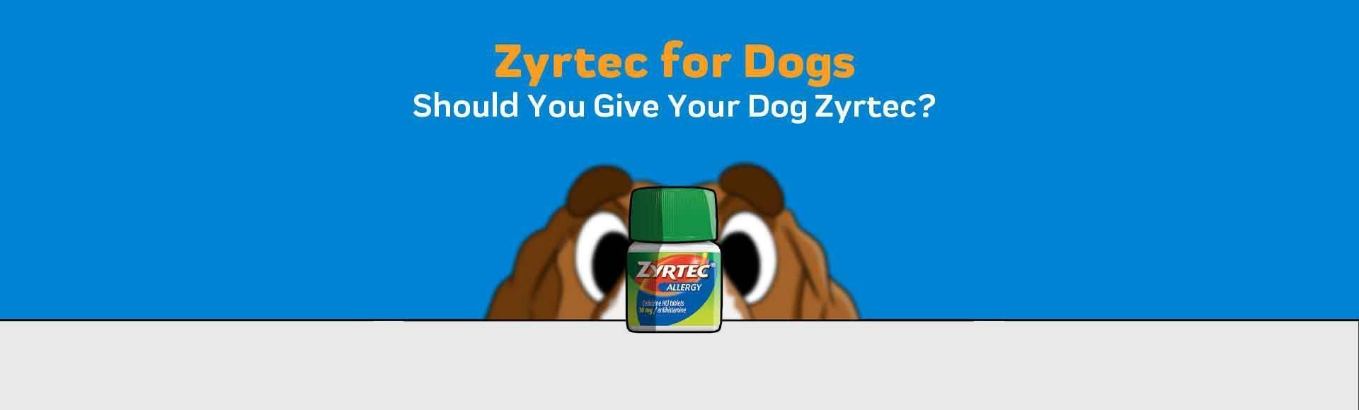 can you give your dog cetirizine