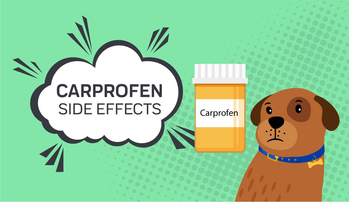 dog carprofen dosage