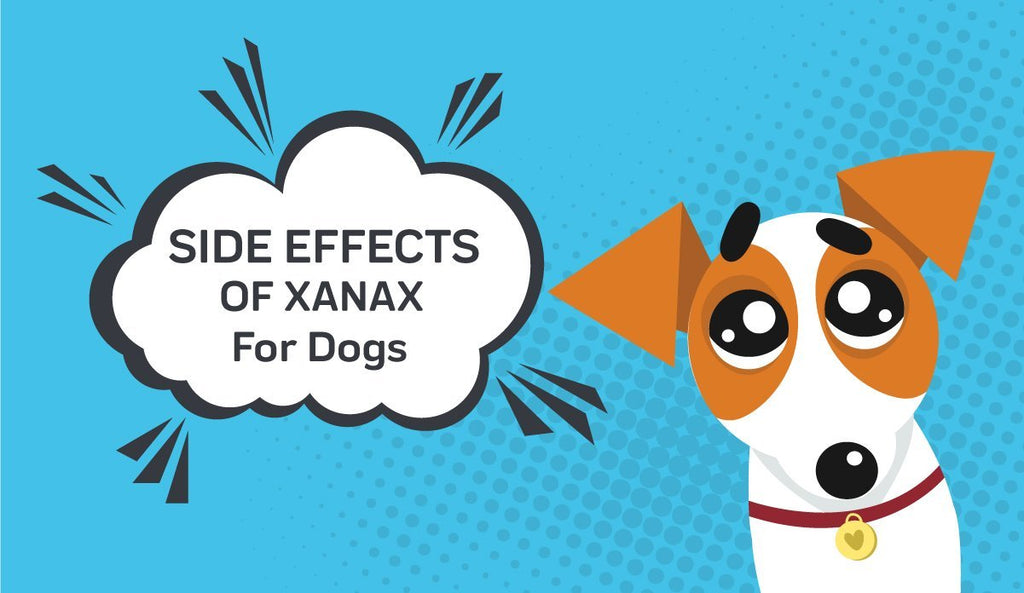 How much xanax for dog
