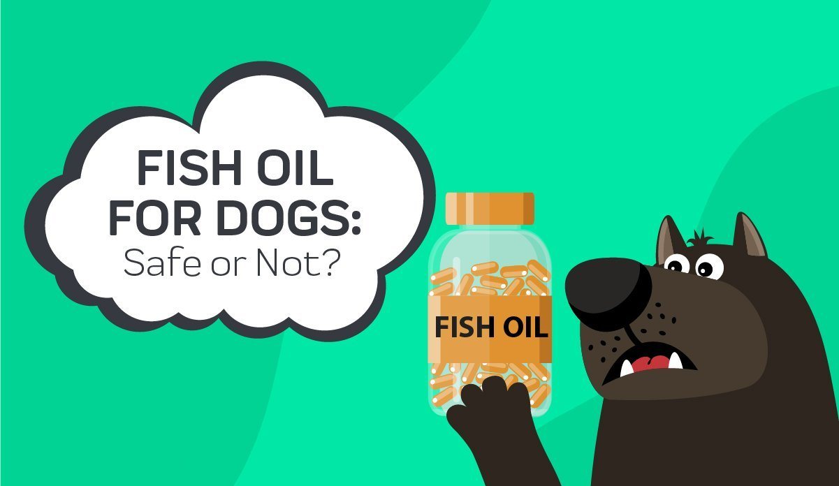 are human fish oil pills safe for dogs