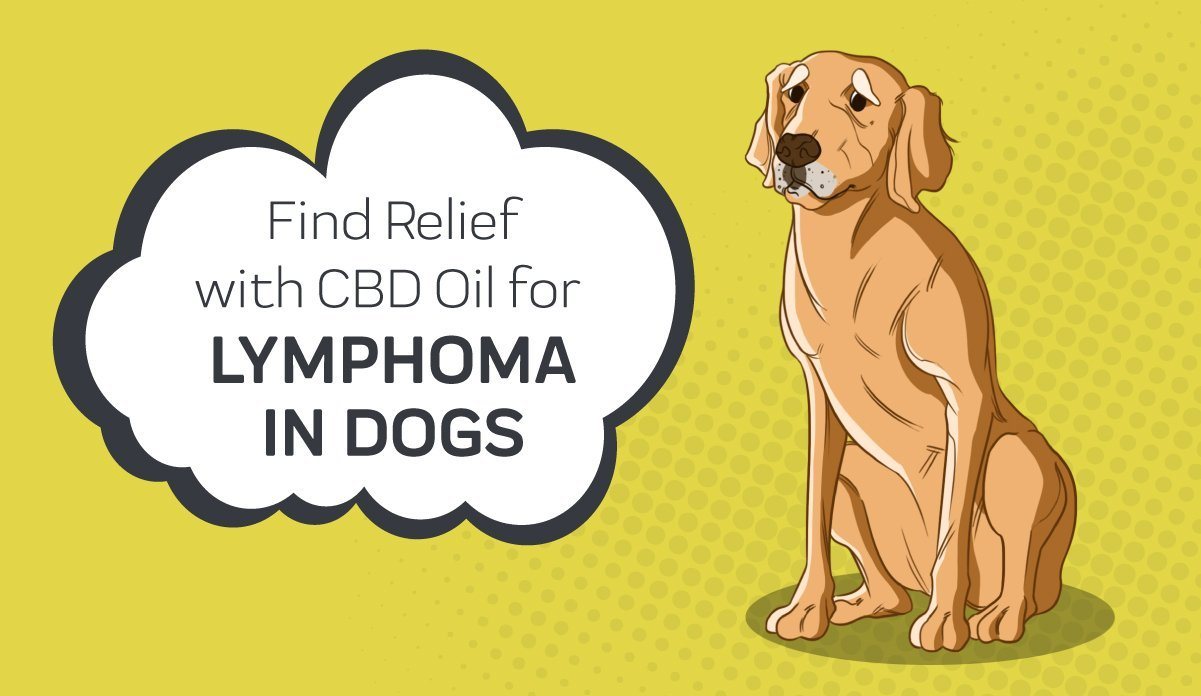 where are dogs lymph nodes in neck