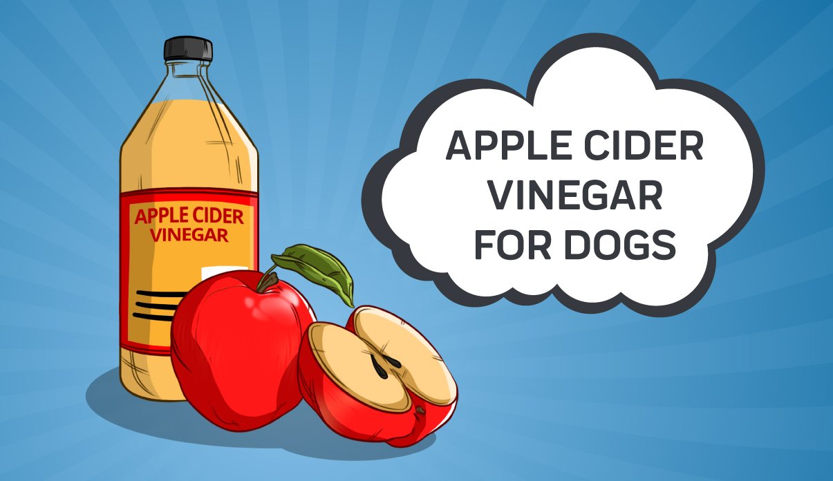 Apple Cider Vinegar For Dogs Innovet Pet