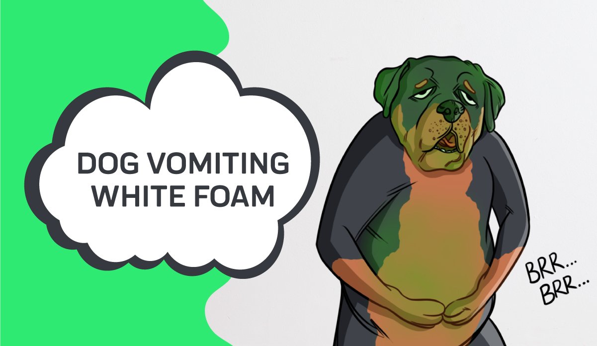 dog coughing and vomiting white foam