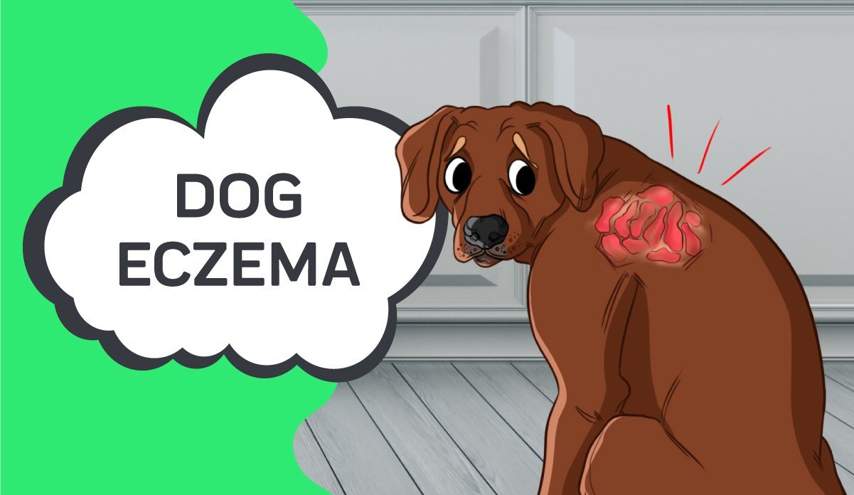 can a dog cause eczema