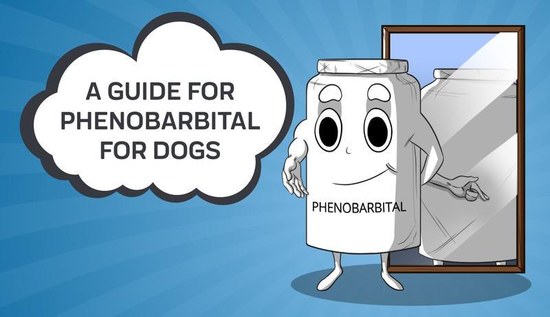 how much does phenobarbital help dogs