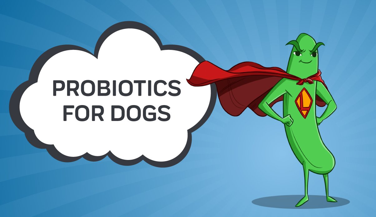 human probiotics safe for dogs