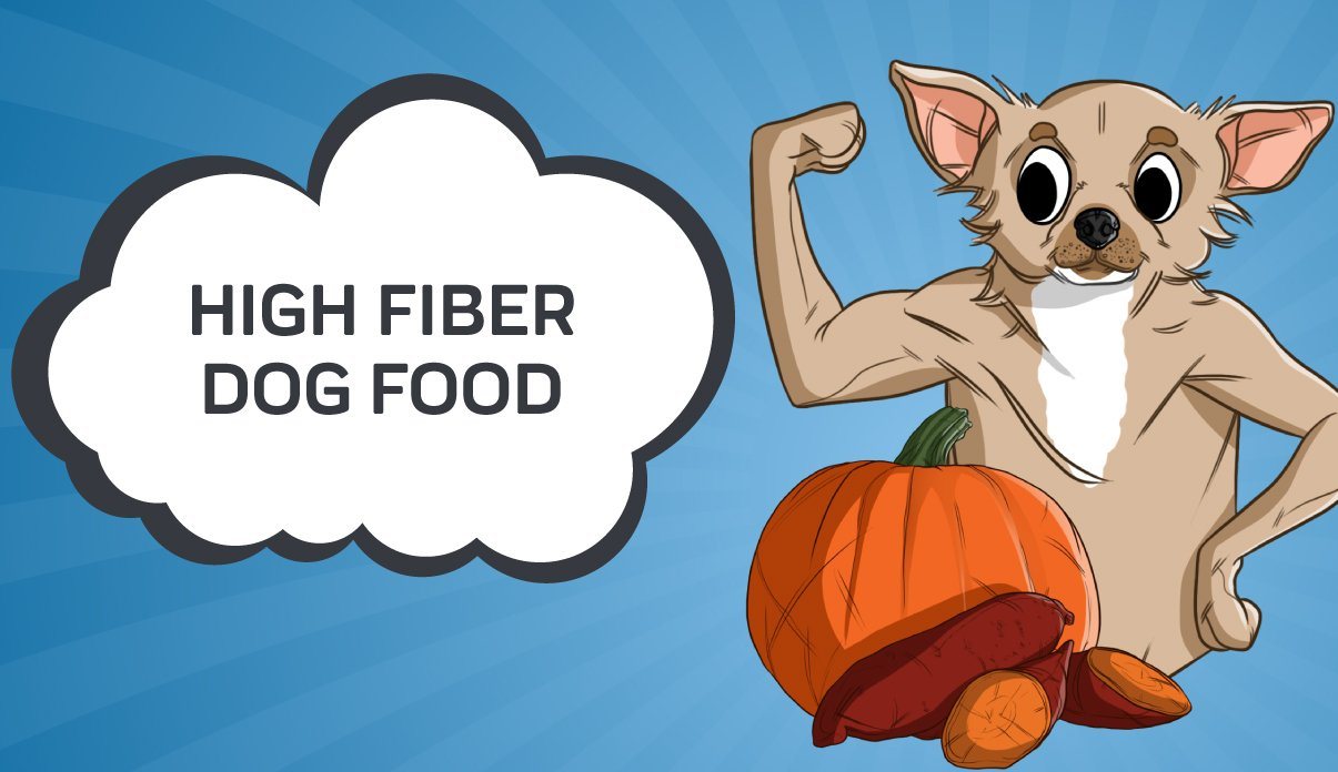 too much fiber for dogs