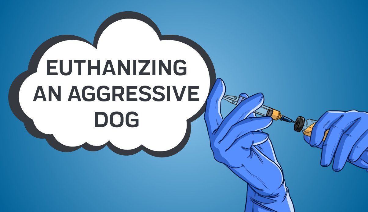 how to deal with putting down an aggressive dog