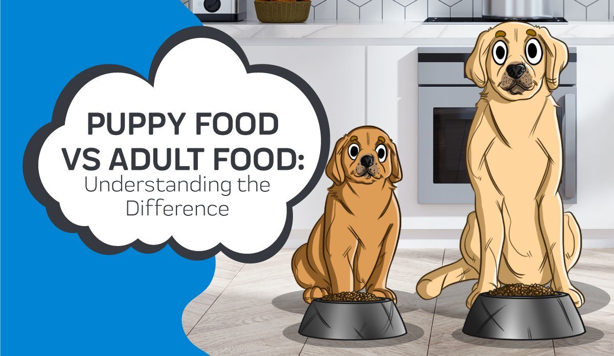 whats the difference between puppy and senior dog food