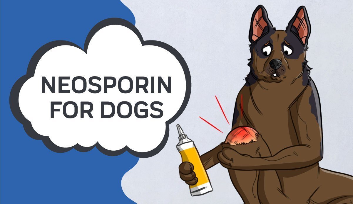 is it ok for a dog to lick neosporin