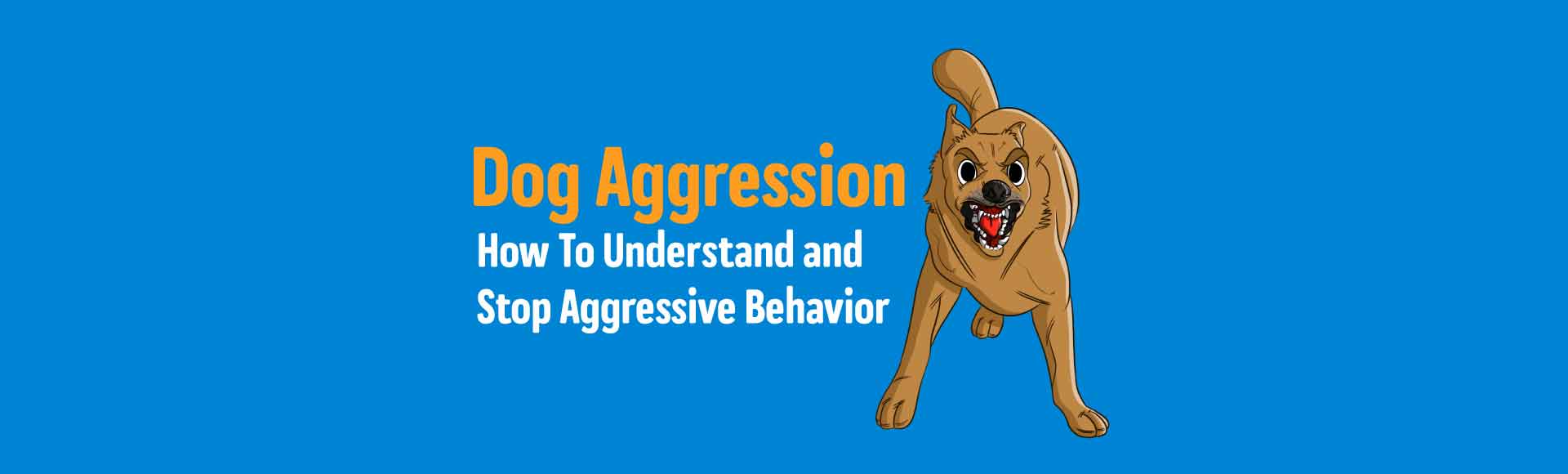 stop dog from being aggressive