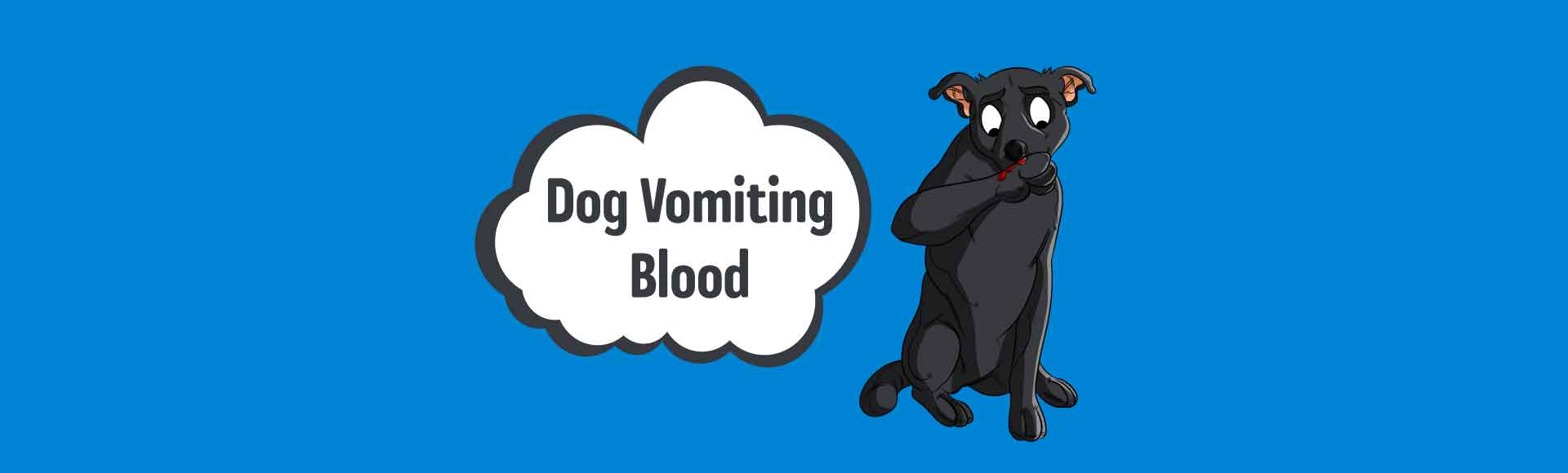 dog vomited blood once