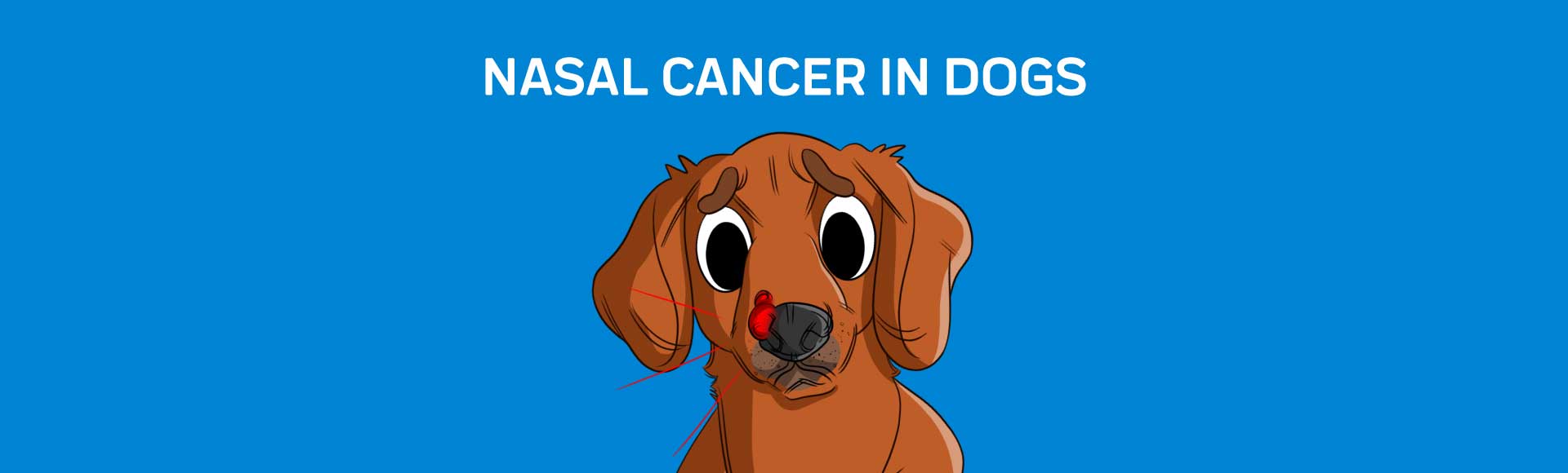 how common is nasal cancer in dogs