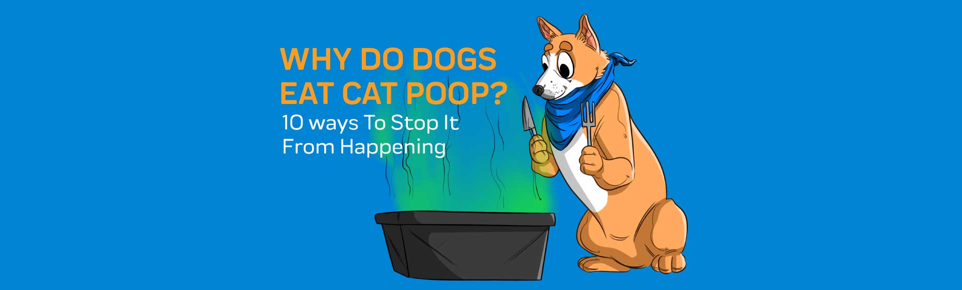 how can i prevent my dog from eating cat poop