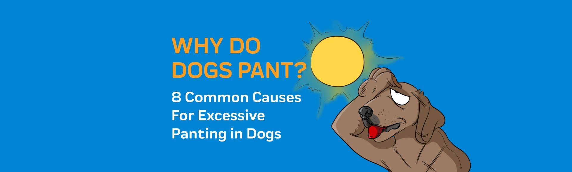 what causes excessive panting in dogs