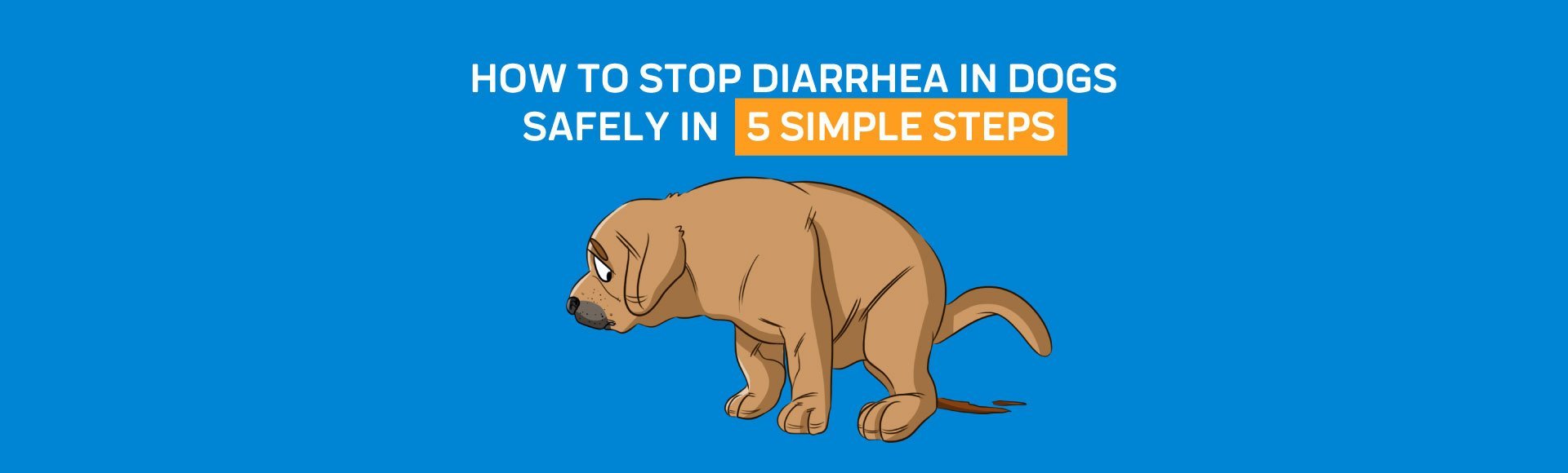 how do you stop dog diarrhea from stress