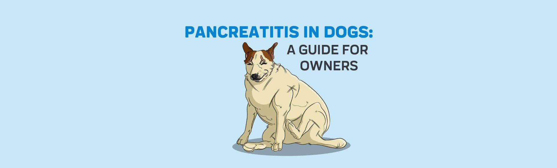 do dogs recover from pancreatitis