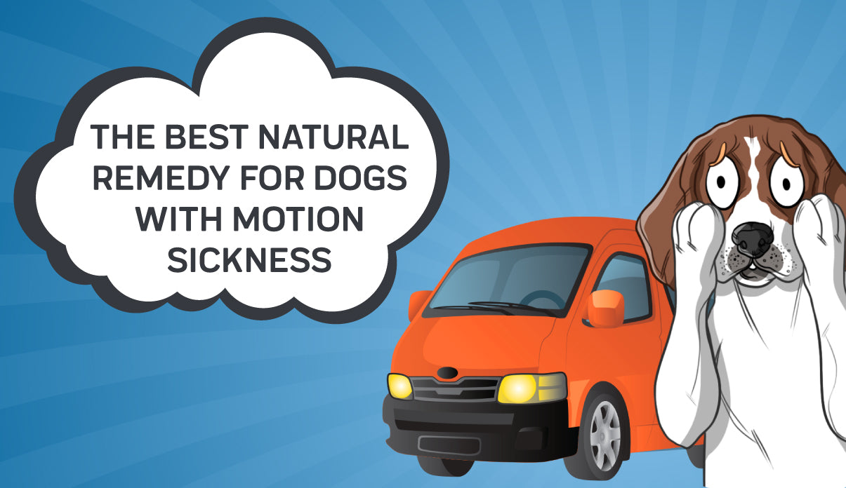 travel sickness tablets for dogs