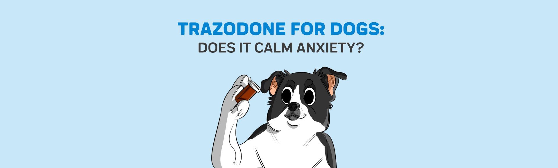 can trazodone make a dog aggressive