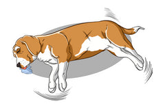 A Guide To Finding Your Dog the Best CBD Treats | Innovet Pet