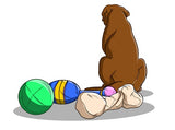 Alleviating Anxiety Stress & Depression | Innovet Pet