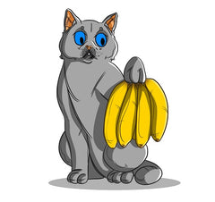 Can Cats Eat Bananas? | Innovet