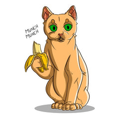 Can Cats Eat Bananas? | Innovet Pet