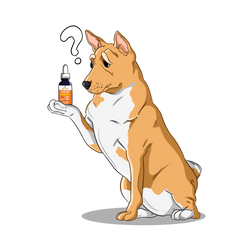 The Side Effects of CBD Oil for Dogs and Cats | Innovet Pet