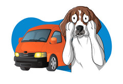 CBD Calming Treats For Dogs With Travel Anxiety | Innovet Pet