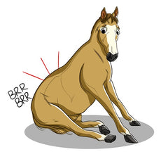Common Health Issues For Horses | Innovet Pet