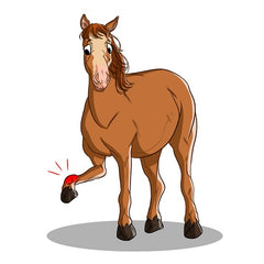 Common Health Issues for Horses | Innovet Pet