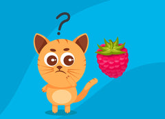 Can Cats Eat Raspberries? Is It Safe for Your Cat | Innovet Pet