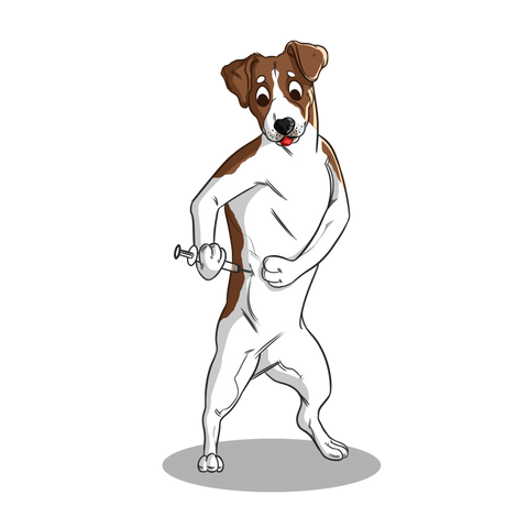 CBD Oil for Diabetic Dogs CBD Oil for Dogs
