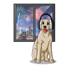 Fireworks And Dogs: One Dangerous Recipe | Innovet Pet