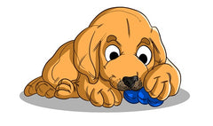 Golden Retriever Puppies 101 | Innovet Pet