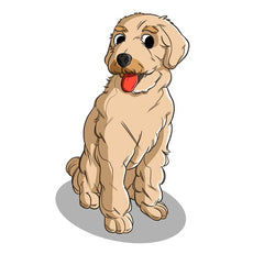 Golden Doodle Breed and Personality | Innovet Pet
