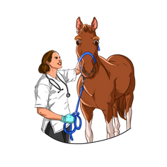 How Do I Keep My Horse Healthy? | Innovet Pet