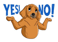 Yes or No | Innovet Pet