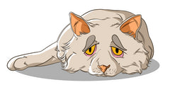 How to Help Dogs and Cats with Depression